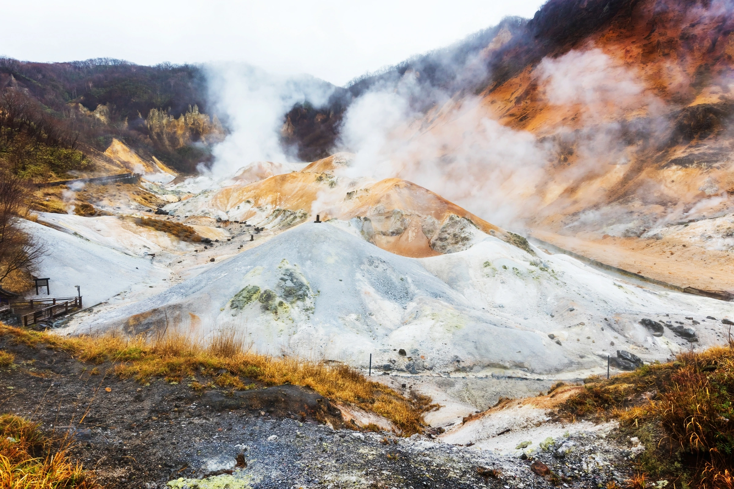 Jigokudani[1].webp